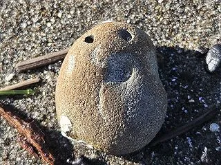 「なぜなら」がなかった頃