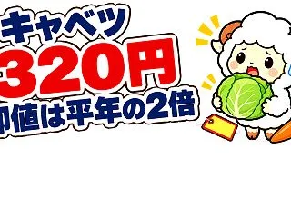 キャベツ320円は高い？卸値は平年の2倍…