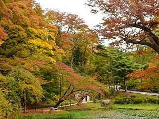 色づく千秋公園から竿燈大通りへ
