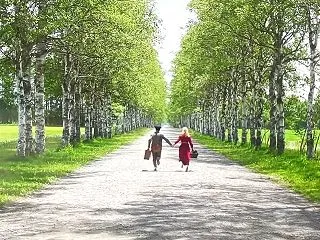 普遍的な作品