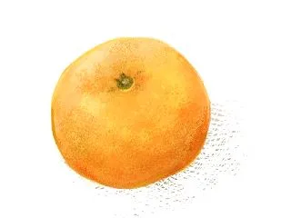 みかん貰った