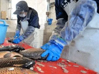 寝たきり老人大国日本の過剰医療が大問題だ…