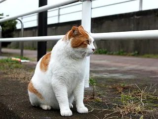 しんちゃんへ