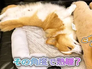 その角度痛くないの？