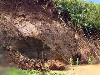 口座から資金が消える恐怖？ 台風の爪痕と…