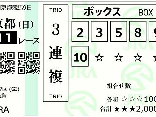 ２０２６ G1 菊花賞 回顧録