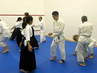 Aikikai Yubukan Mond…