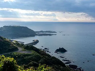 インフルエンザ 流行