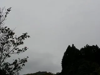 AIに聞きました