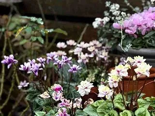 季節が進む雨〜！            …