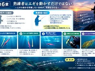 【ビギナーと熟練者の違い】エギを動かすな…