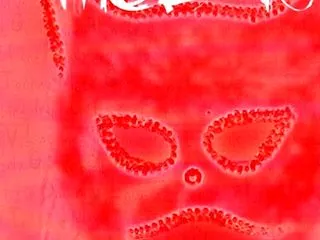 所有音源 meDag. メダー。