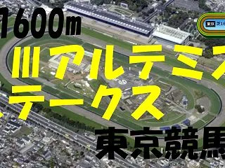2026年 アルテミスS（GⅢ）の競馬予…