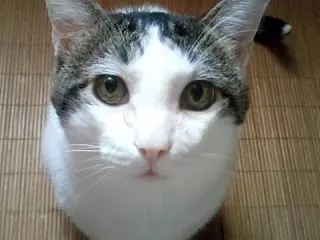 日本じゃあり得ない