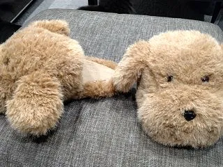 愛猫モカVSスリッパ