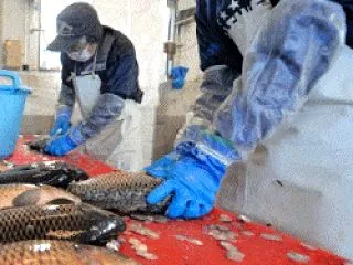 寝たきり老人大国日本の過剰医療が大問題だ…