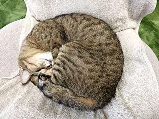 2026/10/26 月曜日 土砂降り …