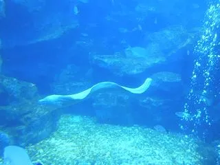 今日は沖縄本島にいます