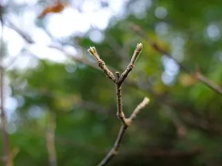 来年の為に・・・・