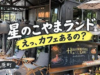 「星のこやまランド」カフェ併設センターハ…