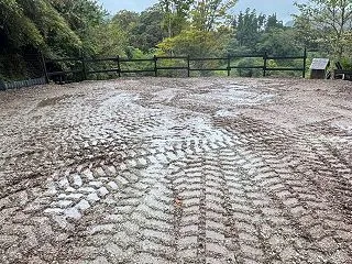 雨通院 内房線復旧前倒し！