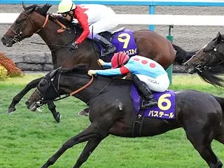 祝 武豊騎手6度目の菊花賞優勝