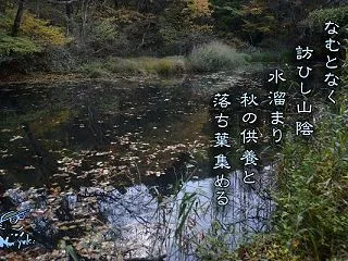 「水溜まり」