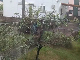 そういえば