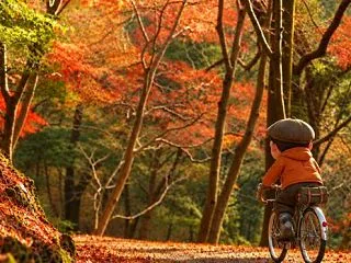 生成AI動画にトライ