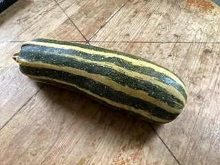 ズッキーニの種取り