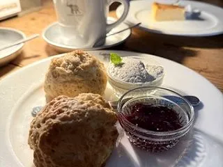 【那須カフェ】カフェ好きの聖地「1988…