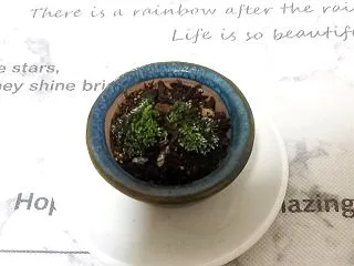 さそり座月間！牡牛座満月️