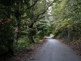 しっとりとした風景