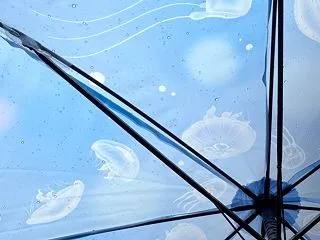 新江ノ島水族館のビニール傘&トキ…
