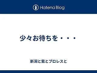 【新日本プロレス魚沼大会特集11】フォト…