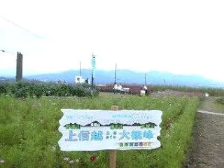 鼻高展望花の丘／群馬県高崎市／2026年…