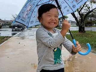 台風は来なかった、雨の月曜日。