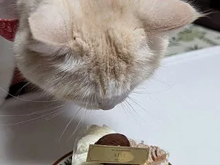 お誕生日！今年もありがとう！