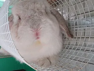 そろそろハロウィン