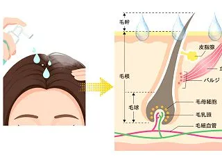 頭皮ケアのプロが頭皮のスキンケアを勧める…