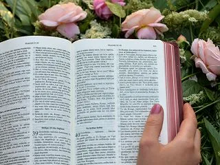 本を読む時間がない人へ｜忙しくても読書を…