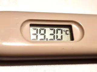 高熱とだるさ、食欲不振に苛まれています。
