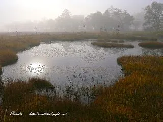 朝日映す池塘