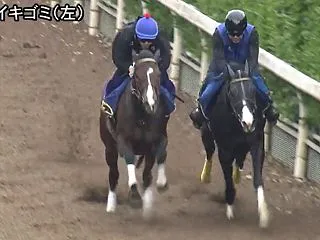 【ブリーダーズカップ2026予想考察】国…