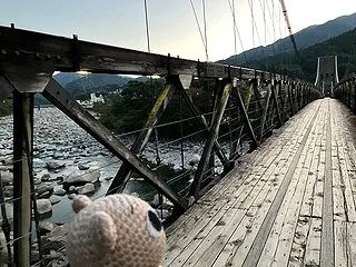 混乱と停滞（・ω・）