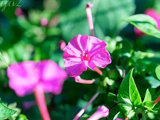 ドラマに出てくる、知っている場所