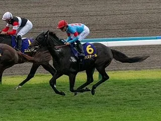 バステール 菊花賞2着 大健闘