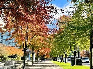 英語でのプレゼンで極度に緊張してしまう生…