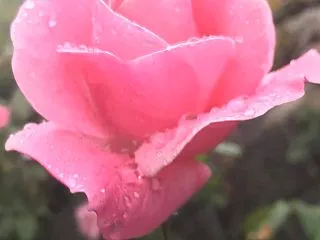 すべては愛でできている……⁉️☺️