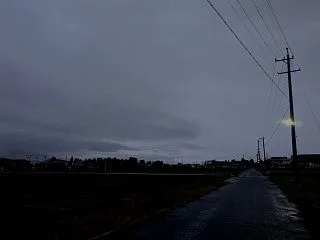 まだ薄暗い雨の朝